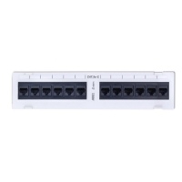 Patch Panel Wall Mount 12 Port CAT5e 10 Inch - Click for more info