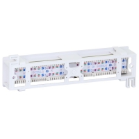 Patch Panel Wall Mount 12 Port CAT5e 10 Inch