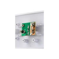 Wall Plate Single Entry PAL Isolated