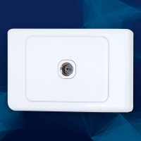 Wall Plate F Type to PAL - Click for more info